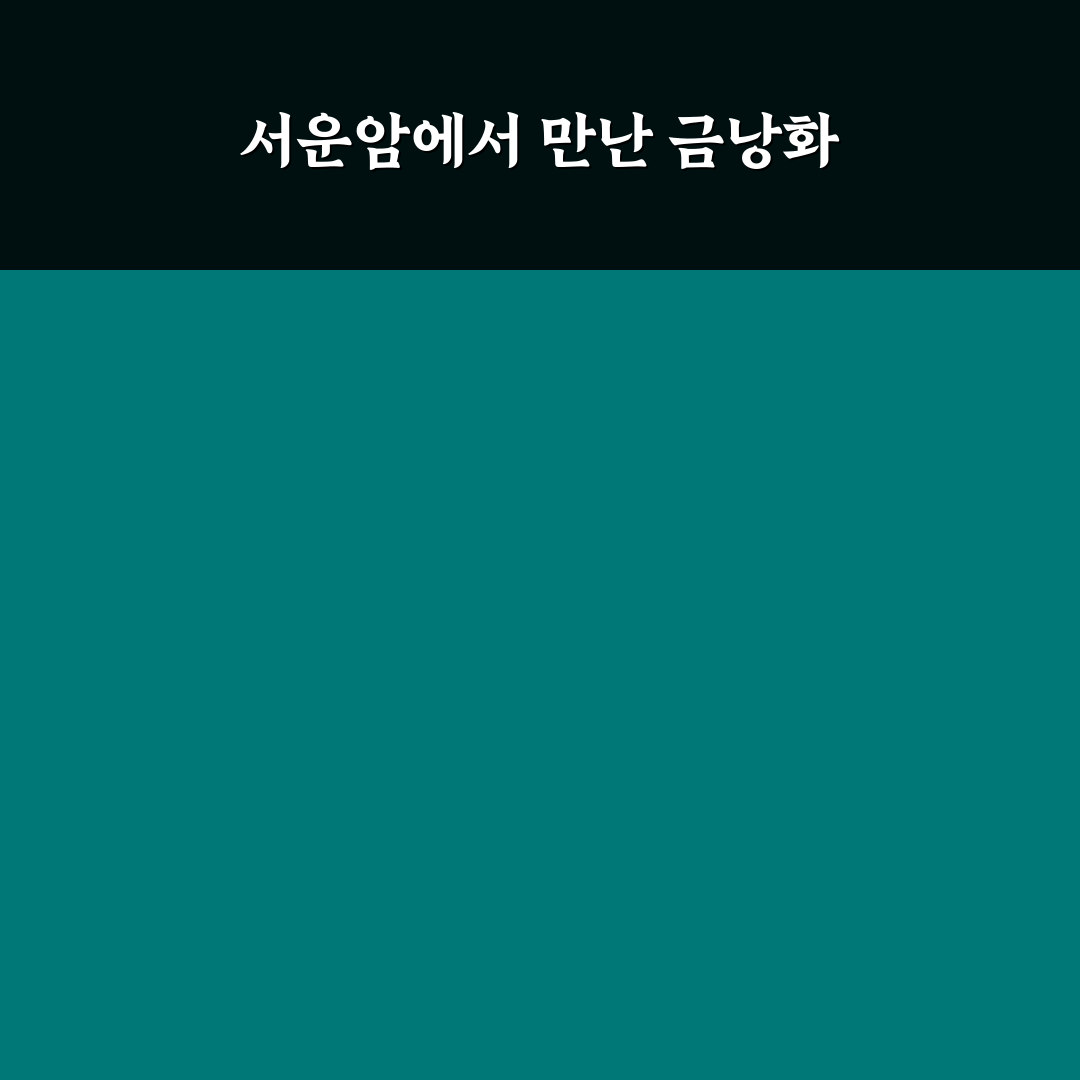 서운암 금낭화 방문 후기, 직접 가보니 느낀 점