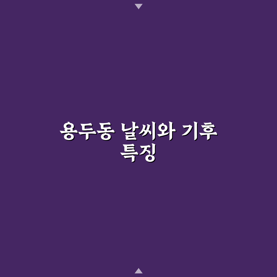 서울특별시 동대문구 용두동 날씨 정보와 꿀팁 정리