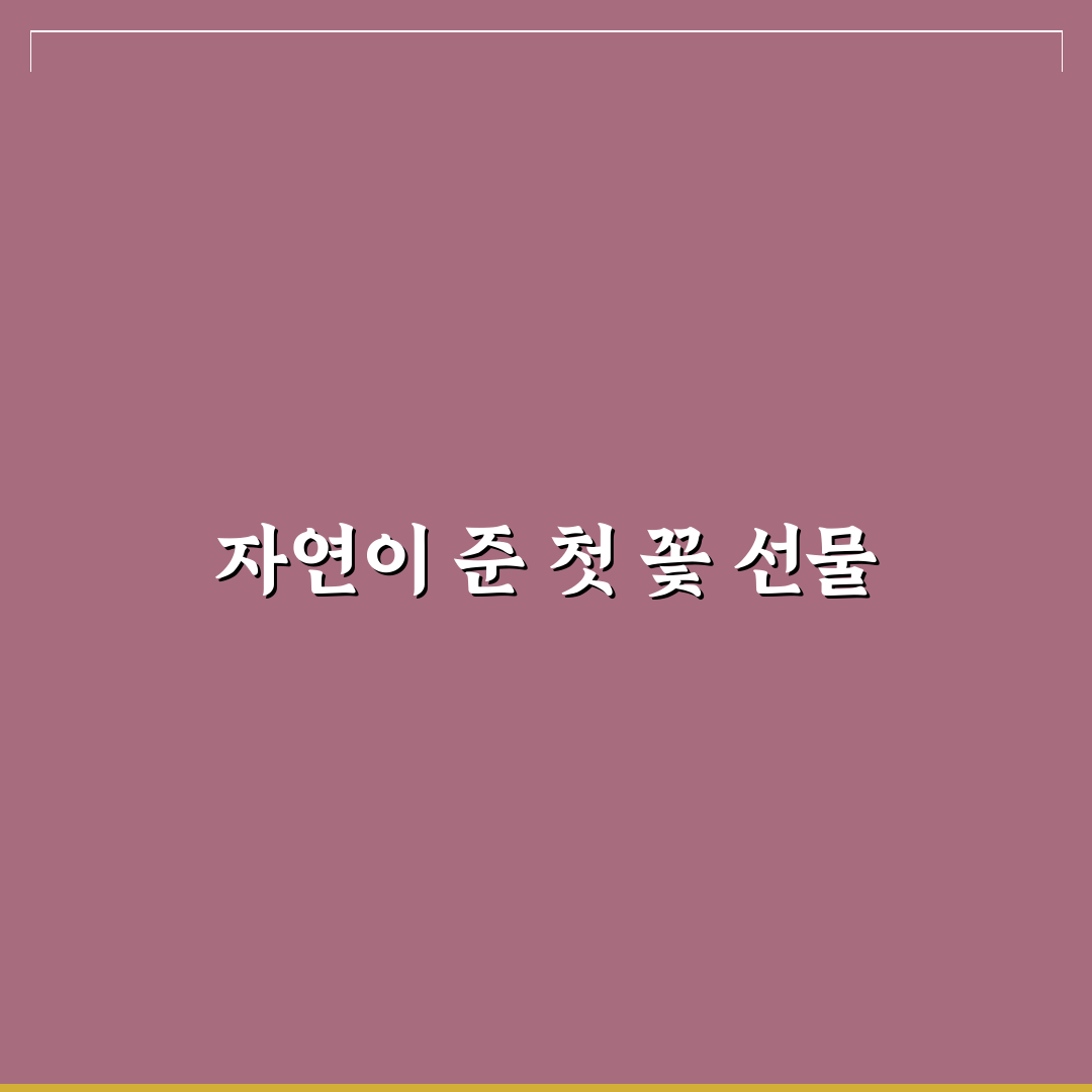 히비스커스 블룸 사용 후기, 직접 써보니 알게 된 점