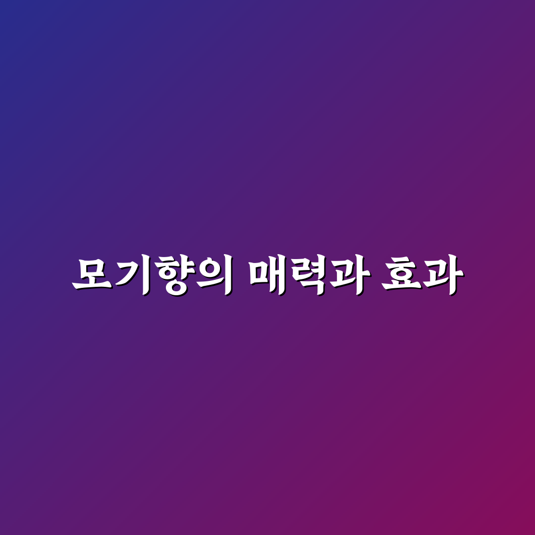 모기향 냄새 좋음 추천하는 꿀팁 모아봤어요
