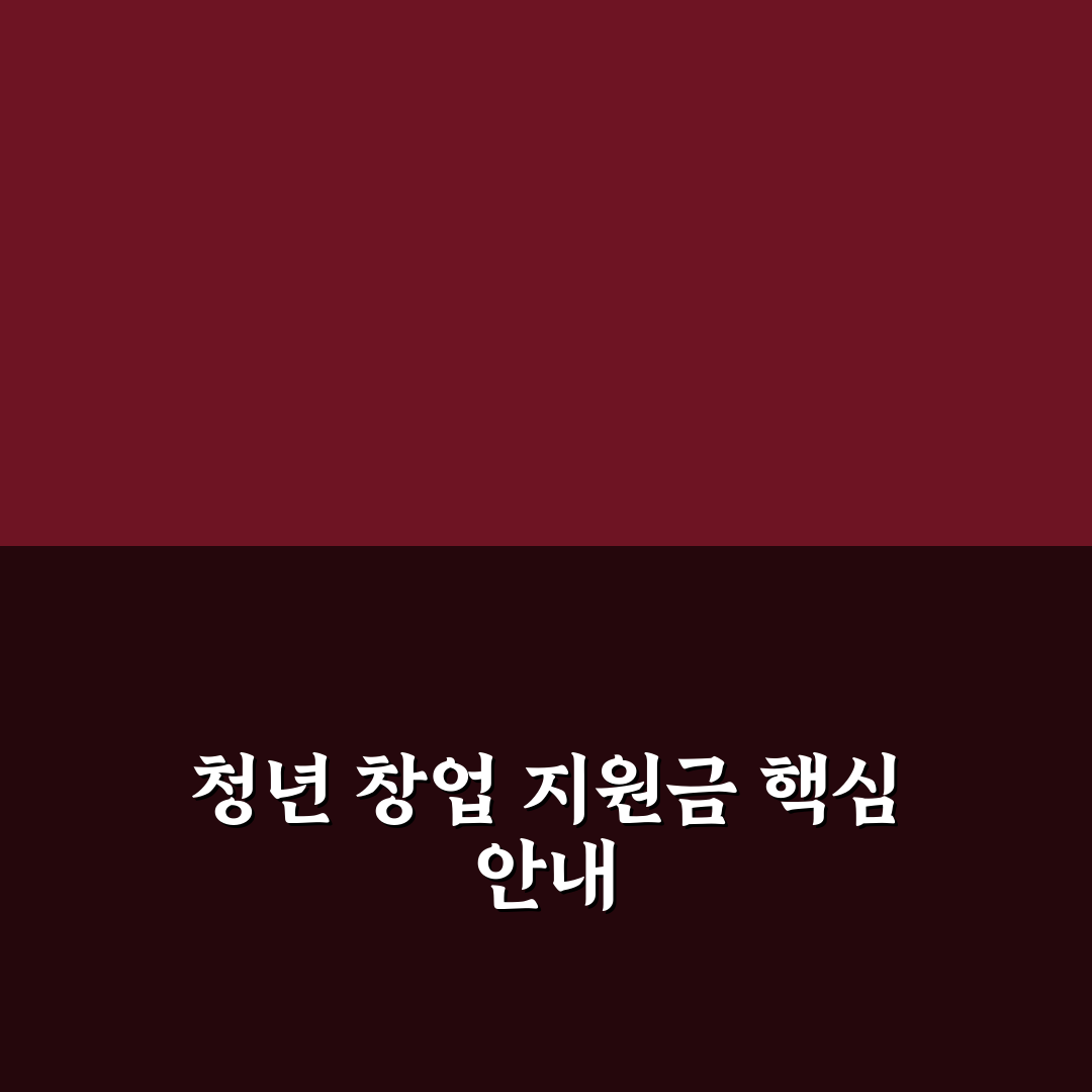 청년 창업 지원금 신청 자격과 꿀팁 쉽게 정리