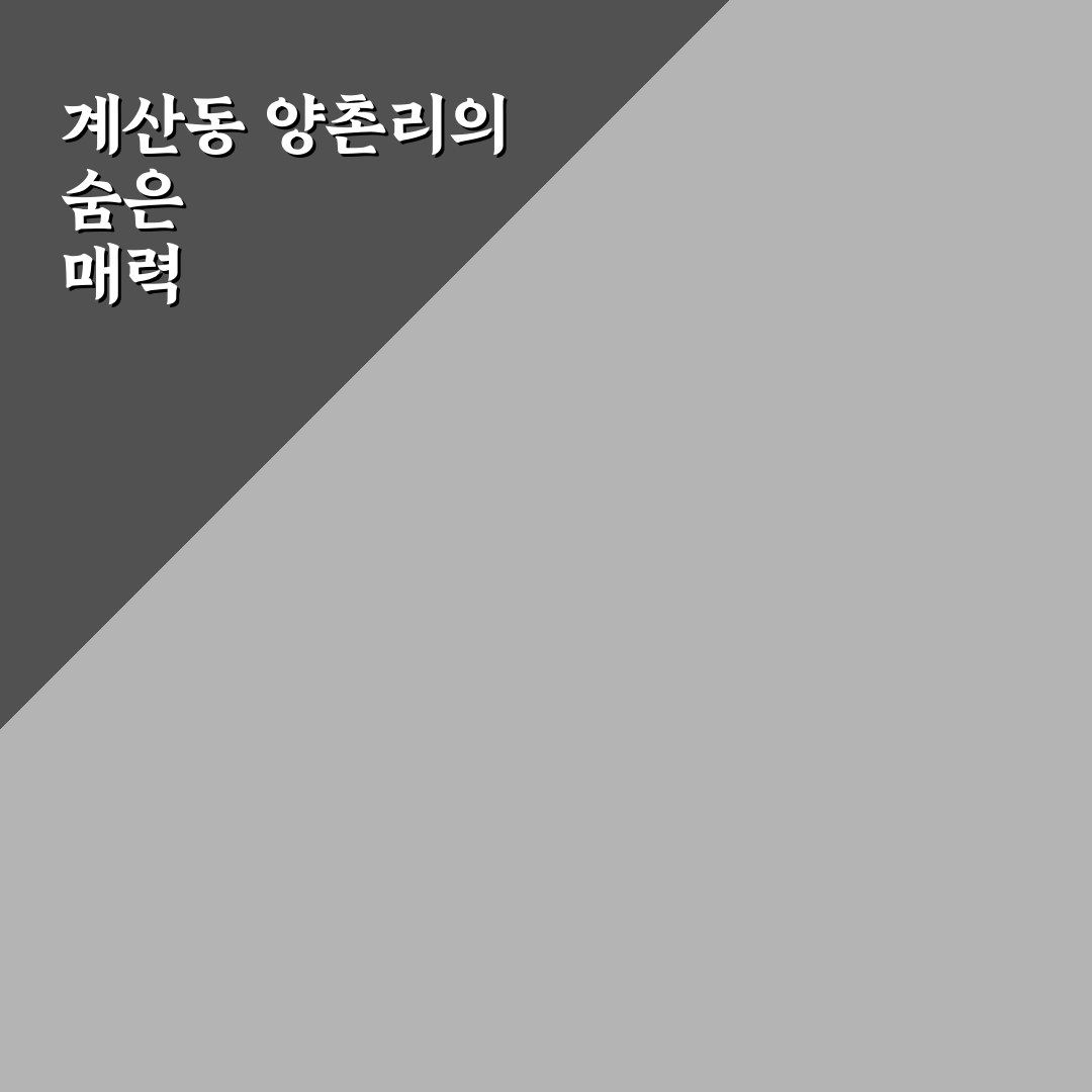 계산동 양촌리 방문 후기, 조용한 동네 분위기 체험기