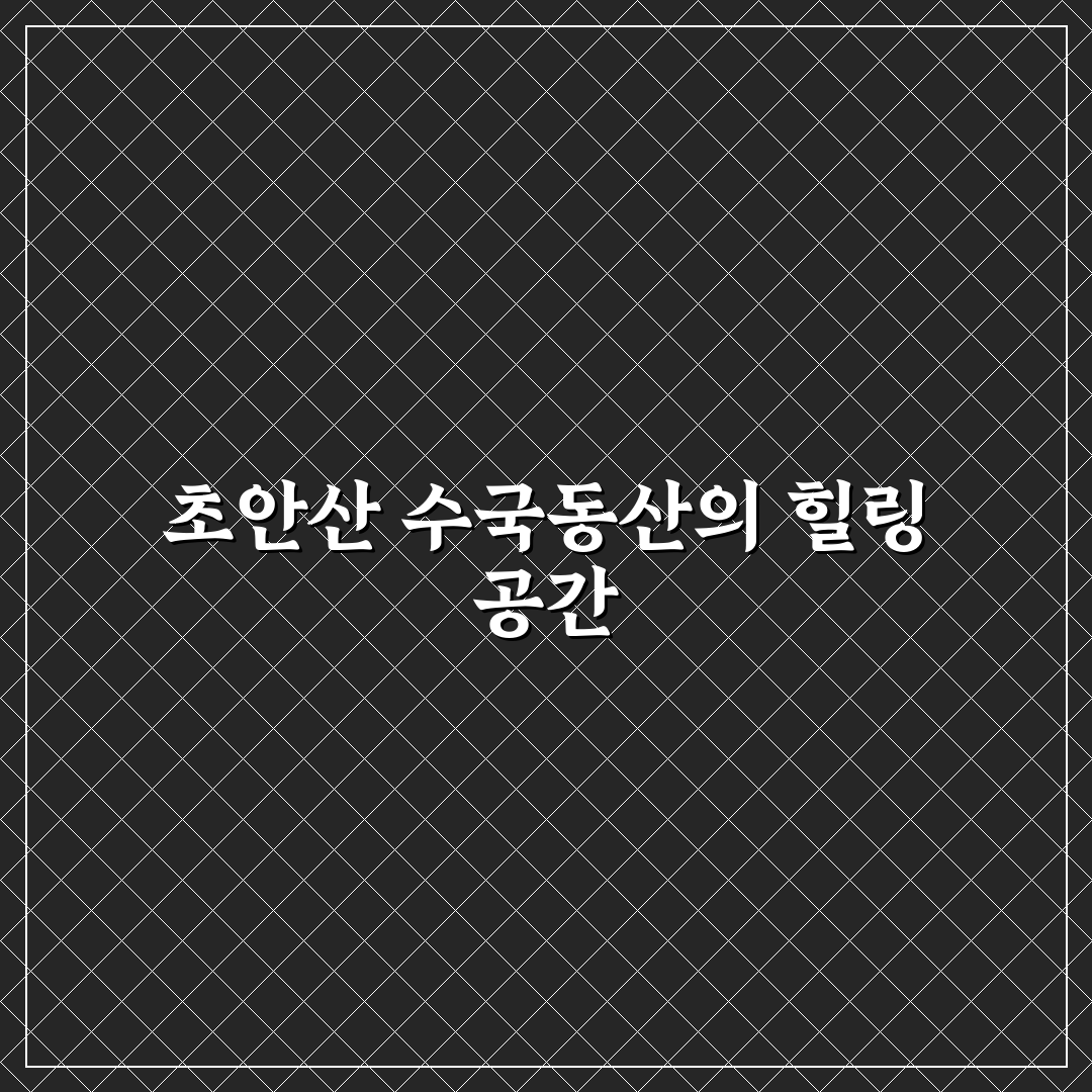 노원 초안산 수국동산 방문 꿀팁과 주변 정보 정리