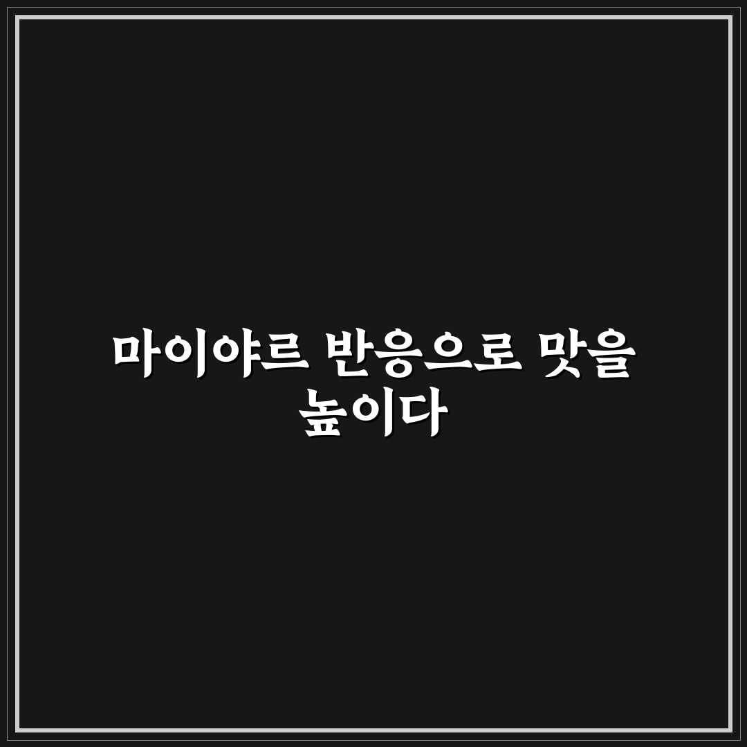 스테이크 마이야르 반응 내기 꿀팁 초보자도 쉽게 따라하기