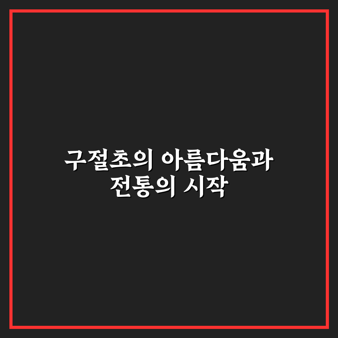정읍 구절초축제 방문 꿀팁과 축제 정보 정리