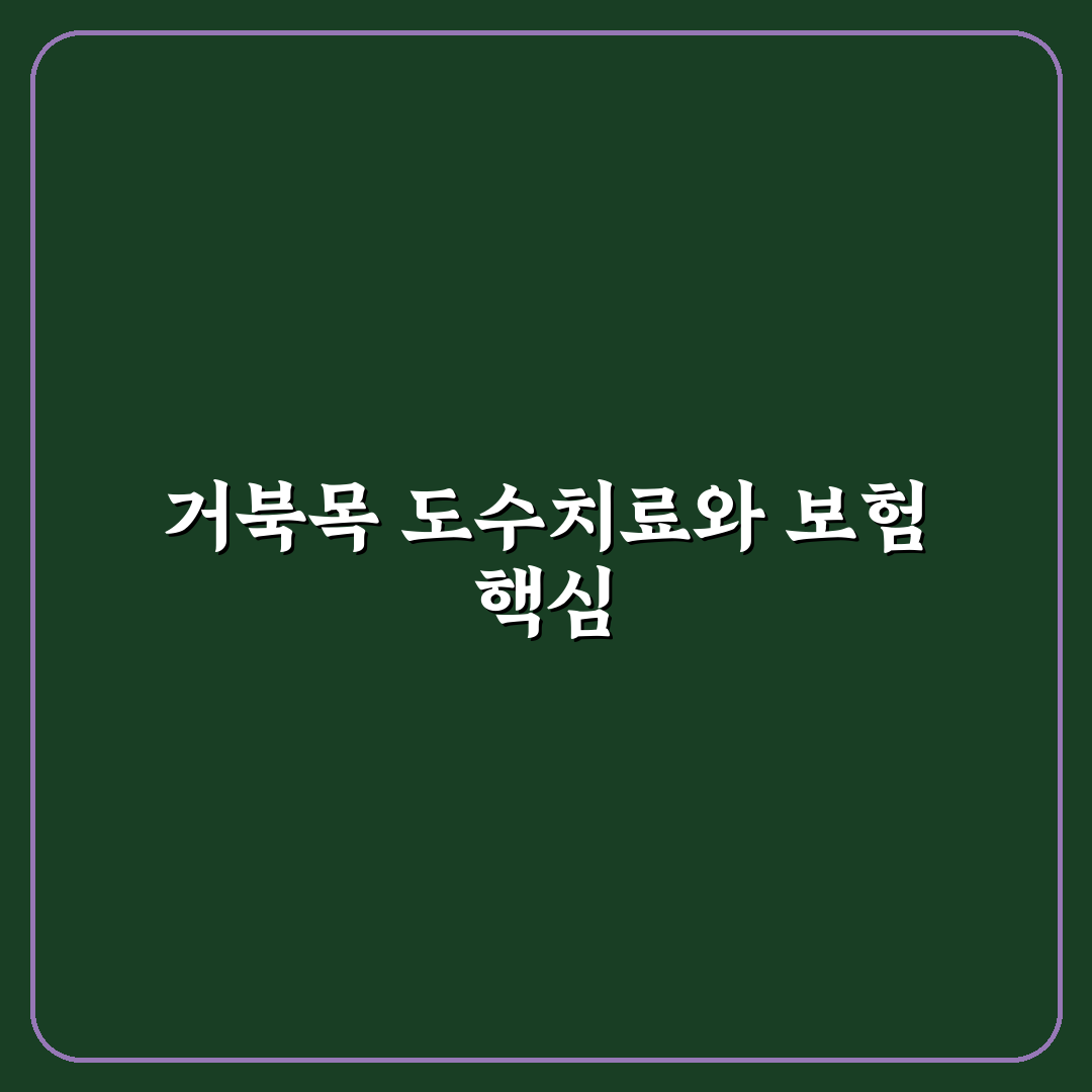 거북목 교정 도수치료 실비 적용 꿀팁과 절차 정리