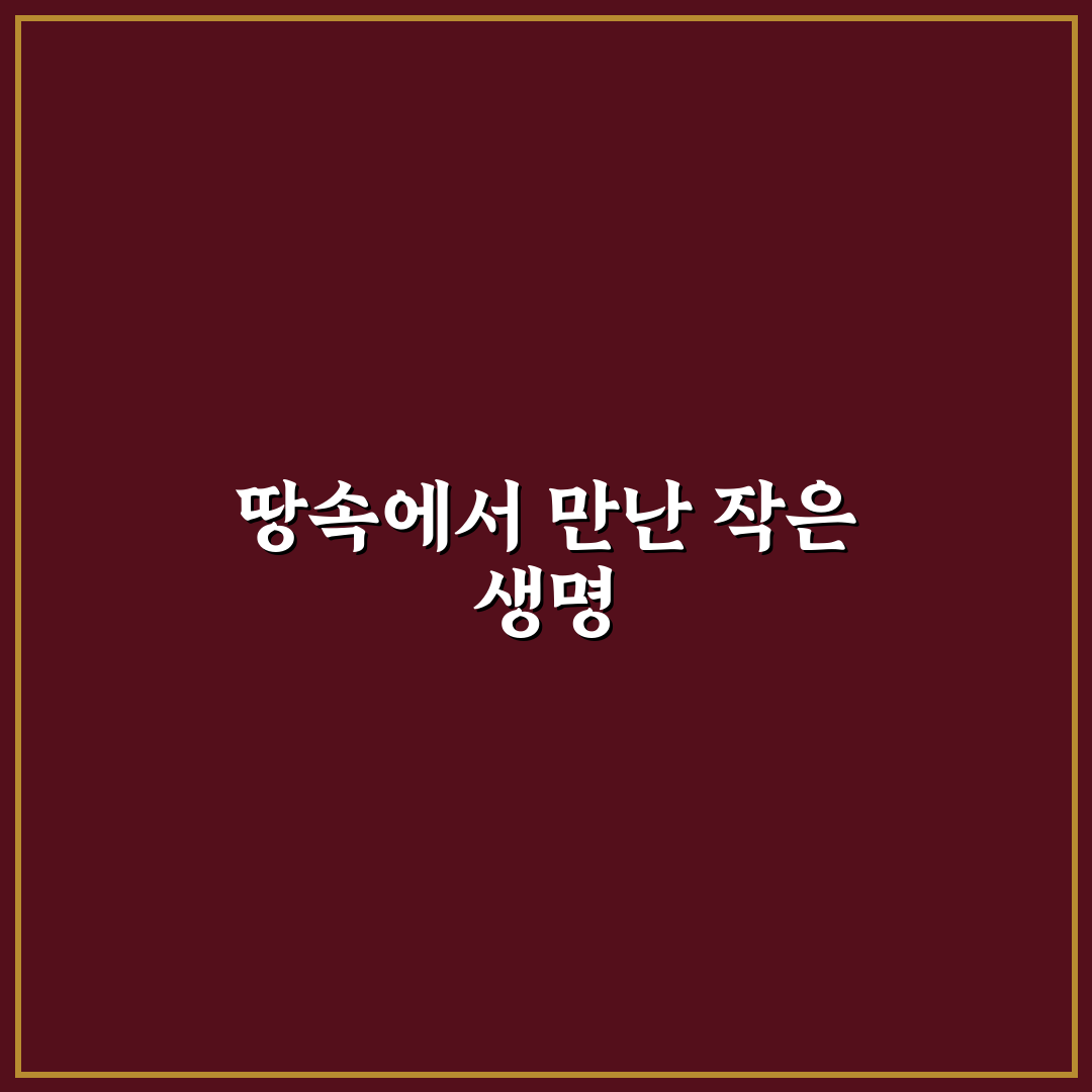 두더지 포켓몬 육성 후기, 직접 플레이해보니