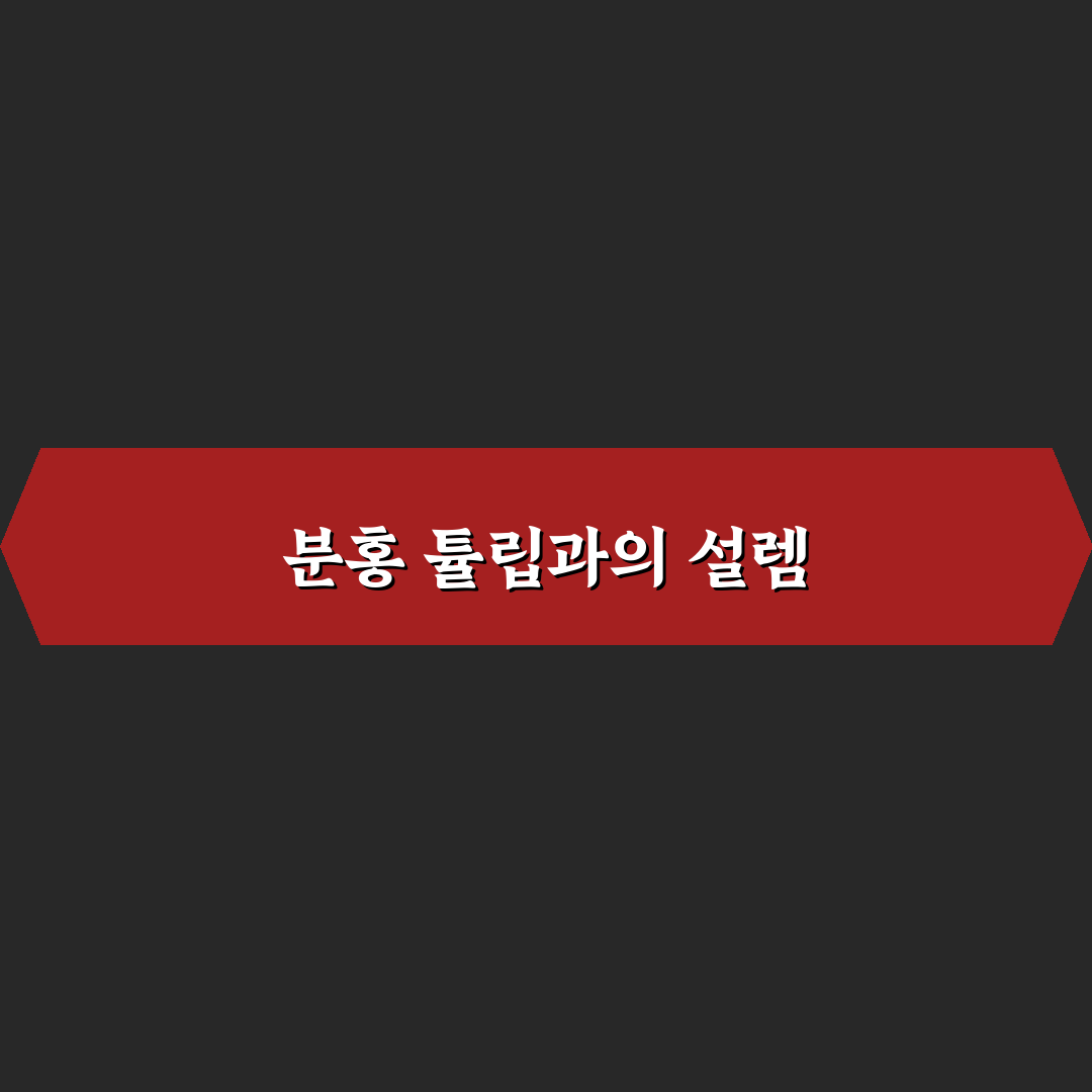 분홍 튤립 꽃말 직접 알아보니 뜻이 궁금했어요