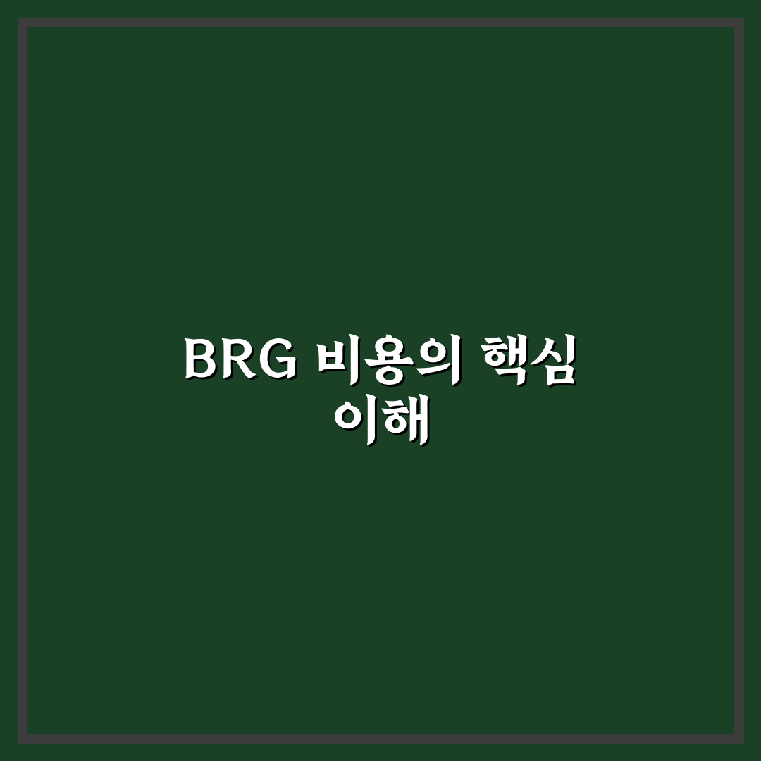 brg 비용 비교와 체크포인트 총정리 가이드