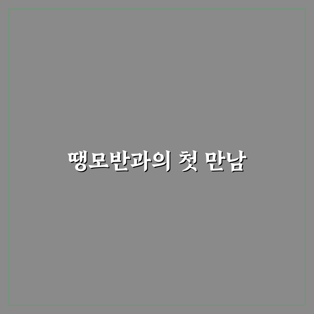 땡모반 만드는법, 직접 해보니 과정과 결과는 어떨까