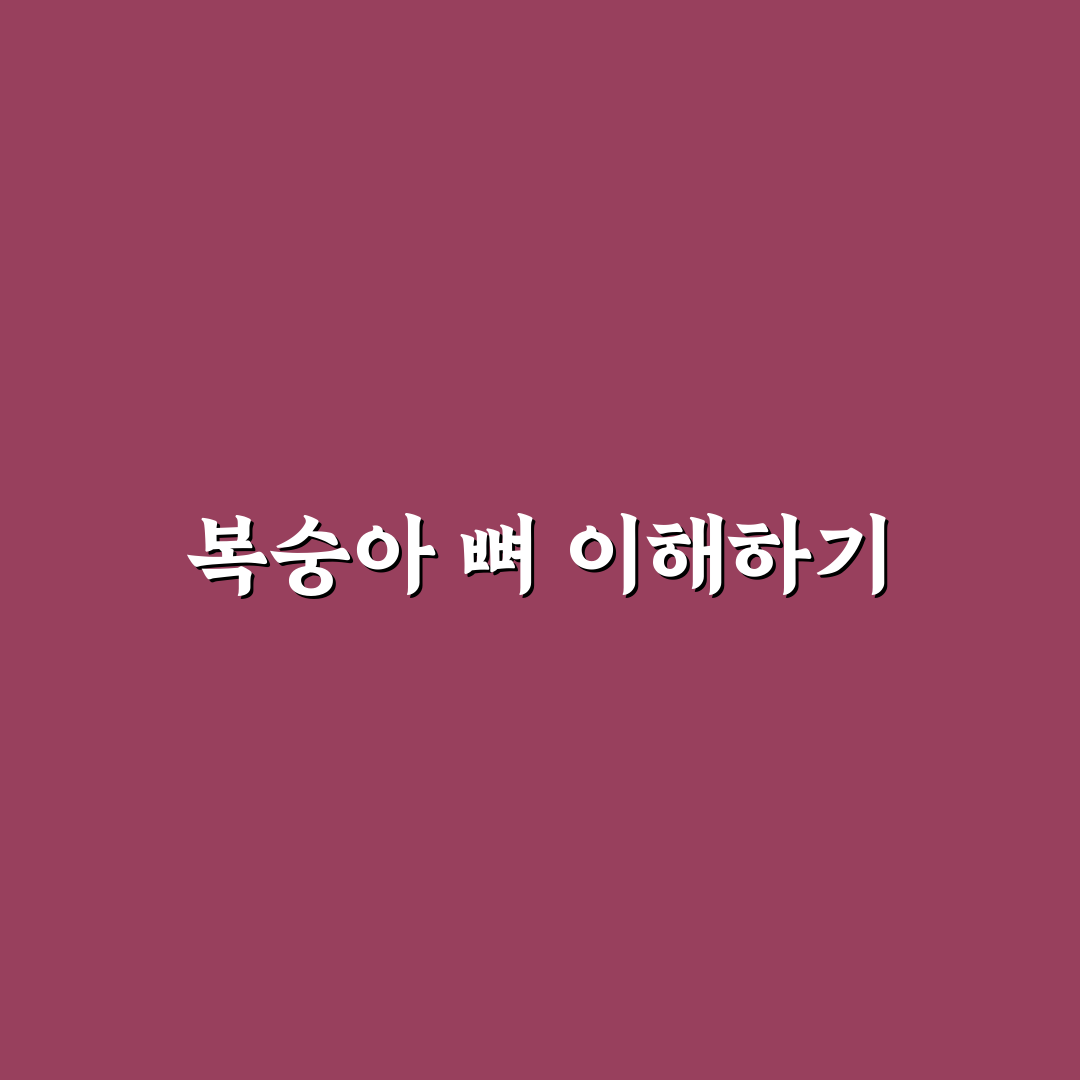 복숭아 뼈 견열골절 알려드려요 치료와 회복 방법