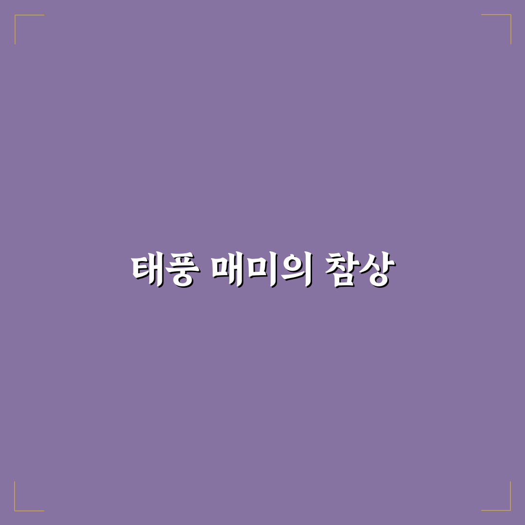 태풍 매미 마산의 피해와 대처법 정리