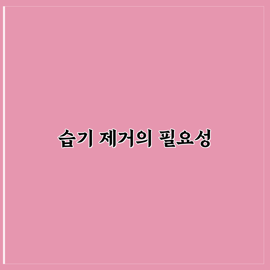 제습기 df 사용법과 효과적인 사용 꿀팁 공유