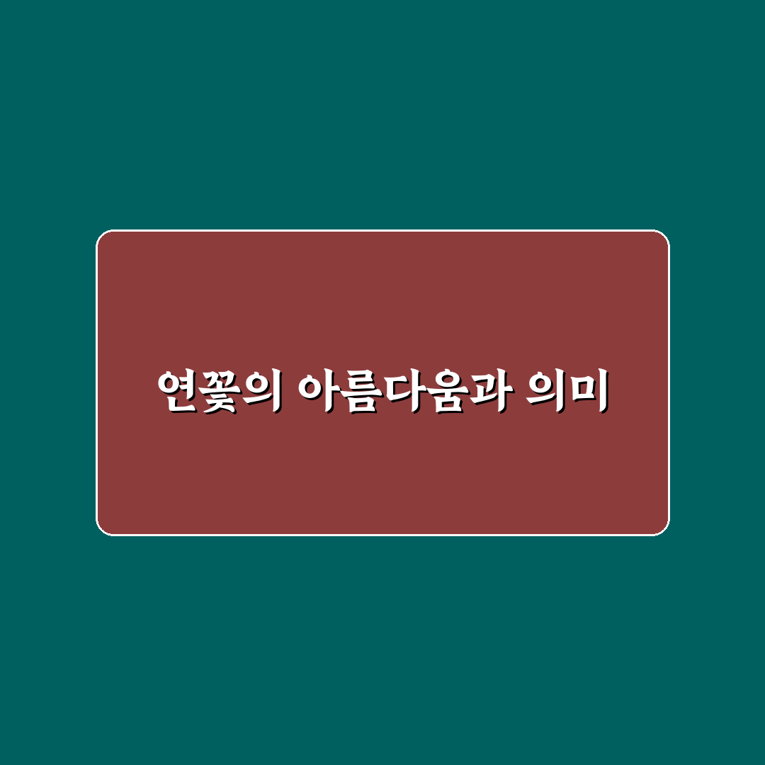 피향정 연꽃 축제 꿀팁과 즐길 거리 정리