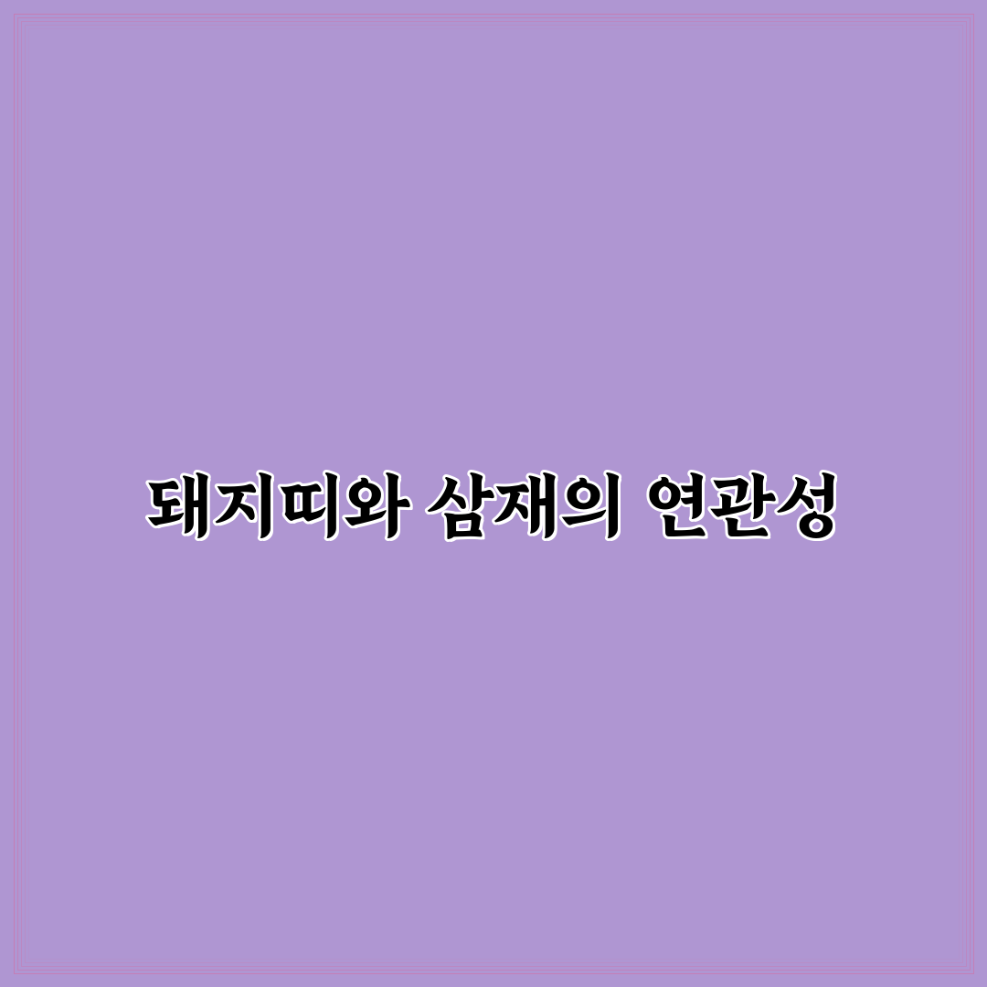 95년생 돼지띠 삼재 꿀팁 알아보기