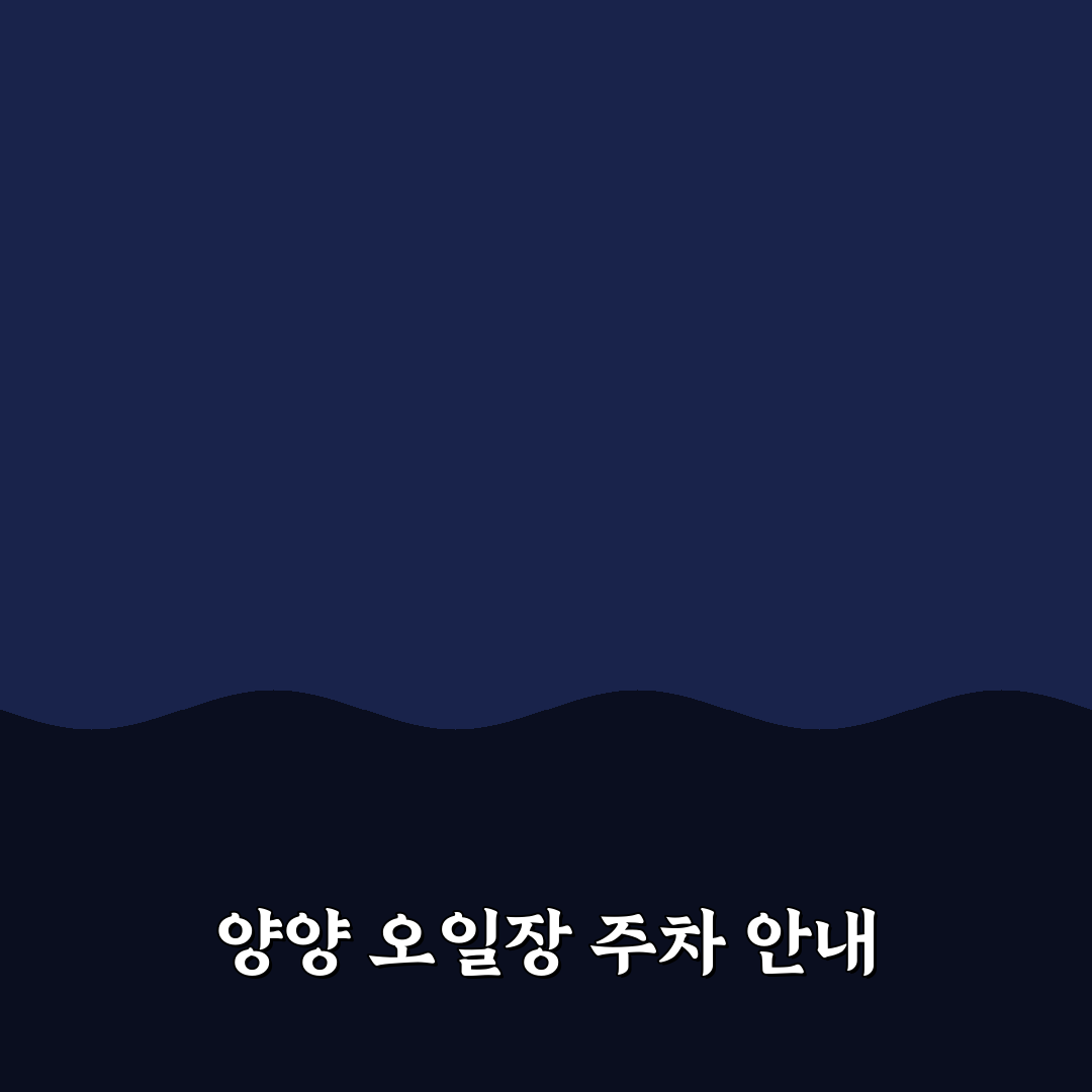 양양 오일장 주차장 꿀팁과 주차 방법 정리