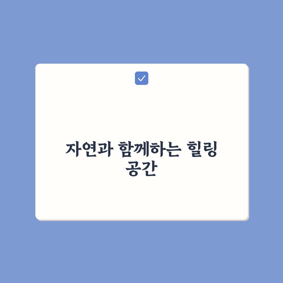 양평 지평 식물 찜질방 꿀팁과 이용 후기 공유