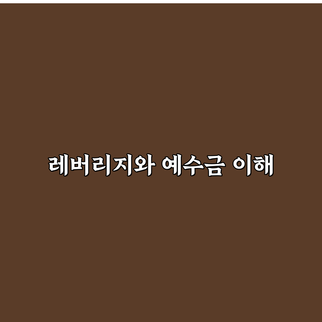 레버리지 예수금 3천만원으로 투자 시작하기 꿀팁 공유