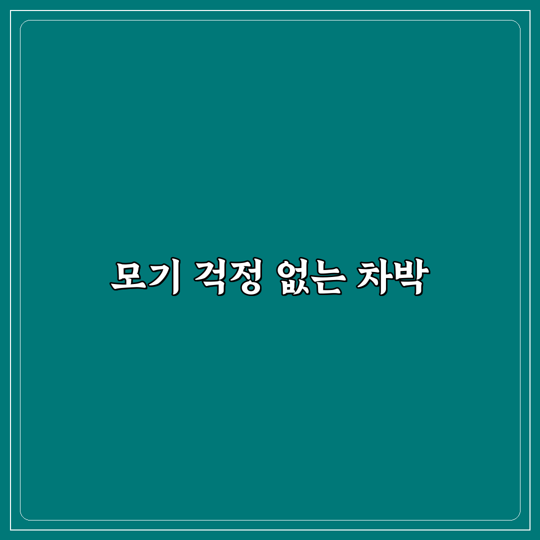 다이소 차박 모기장 꿀팁과 활용법 정리