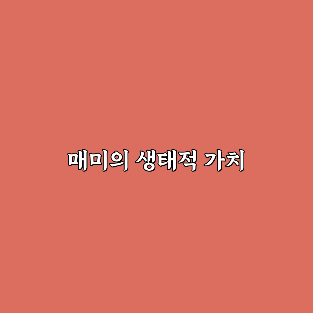 매미 무나요 꿀팁 정리 초보자가 알아두면 좋은 정보