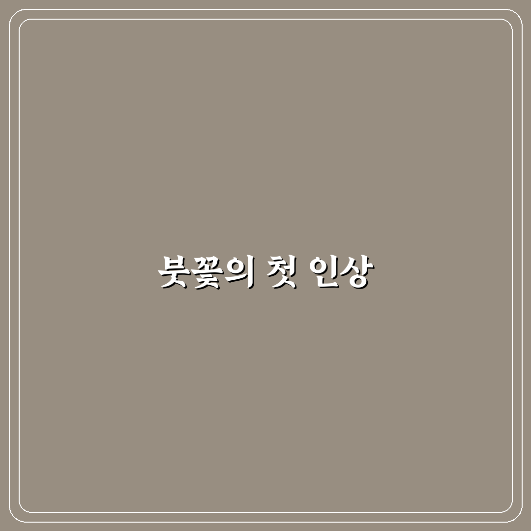 붓꽃 포토 촬영 체험기, 직접 가보니 느낀 점들