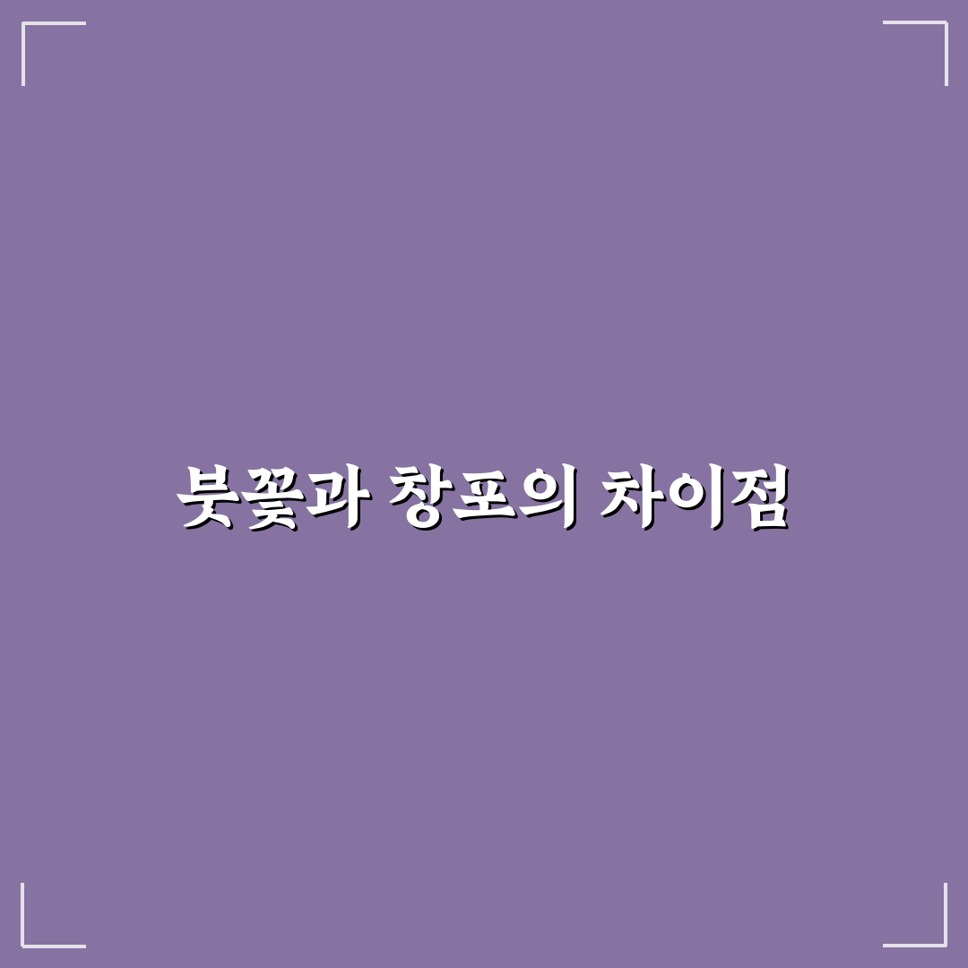 붓꽃 창포 차이 쉽게 이해하는 꿀팁 정리