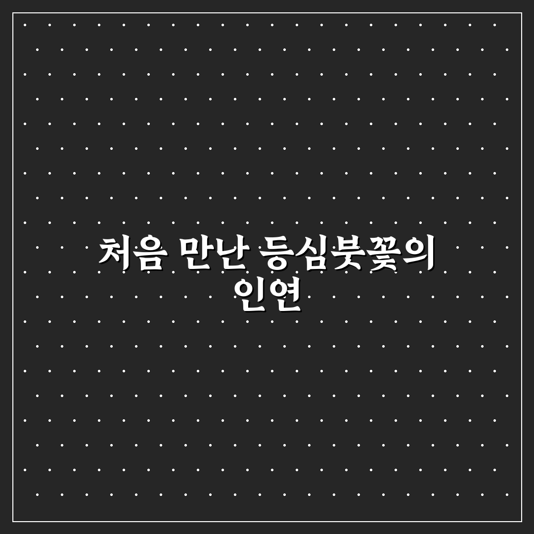 등심붓꽃키우는법 직접 알아보니 초보도 키우기 괜찮았어요