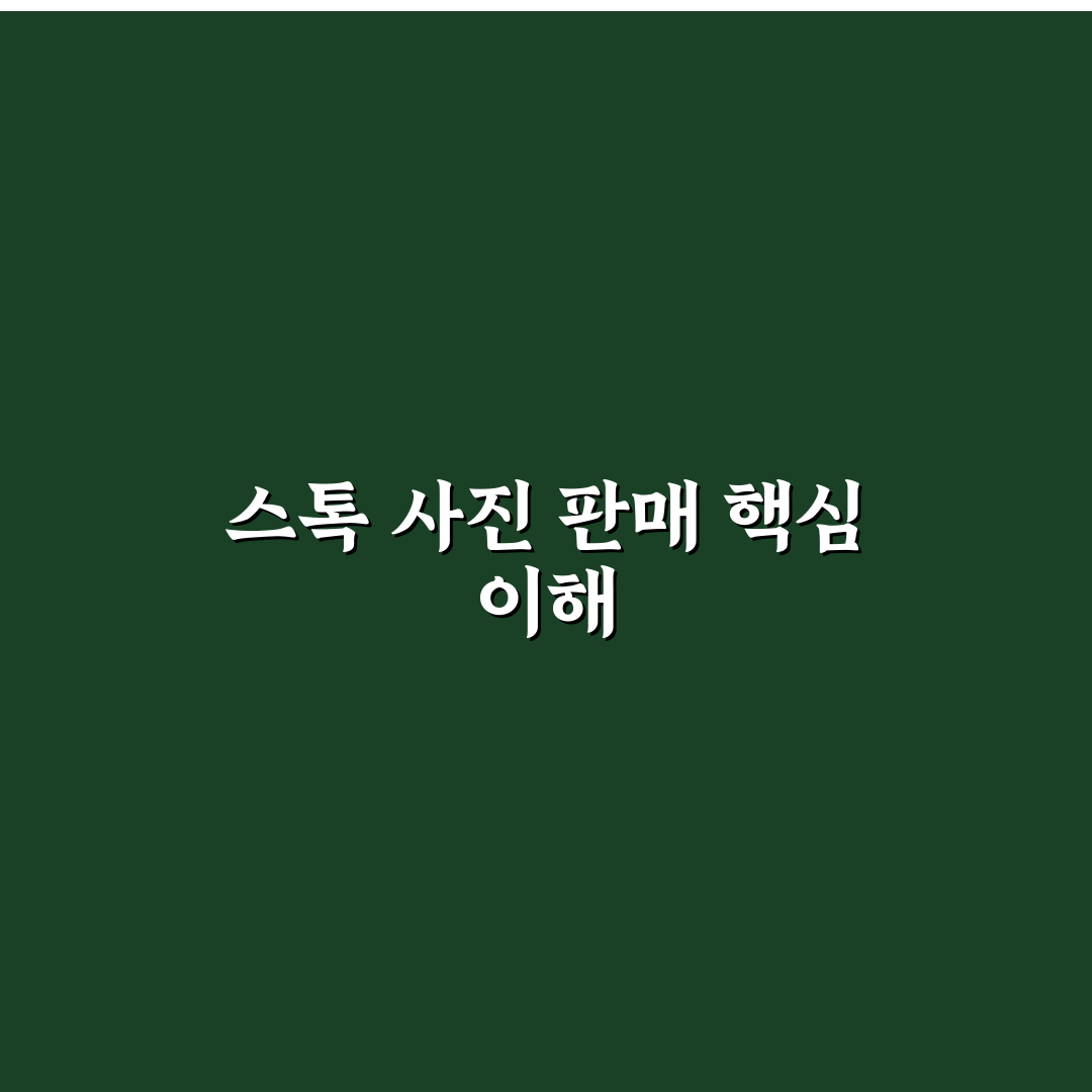 스톡 사진 판매 사이트 비교와 추천 쉽게 알아보기