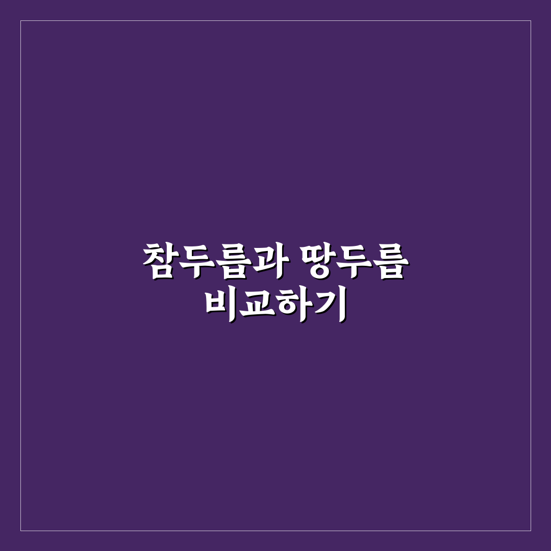 참두릅 땅두릅 차이 쉽게 알려드려요 꿀팁 정리