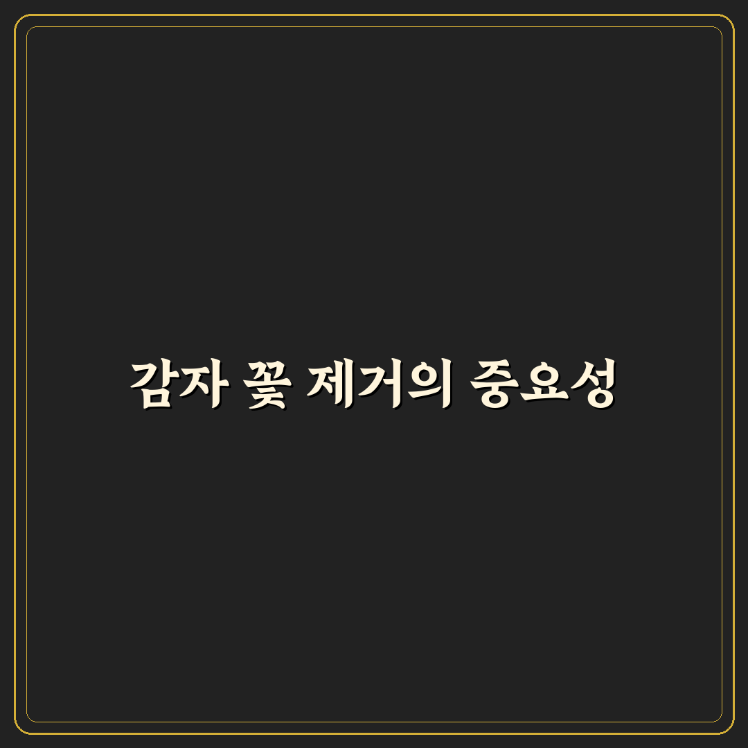 감자 꽃 제거 방법과 초보자도 쉬운 꿀팁 공유