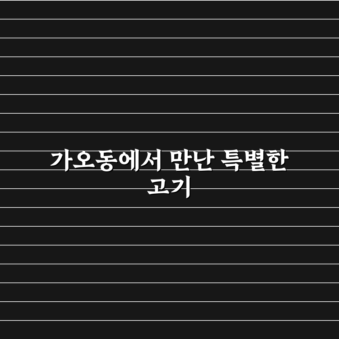 가오동 소고기 방문 후기, 직접 먹어보니 맛은 어땠는지
