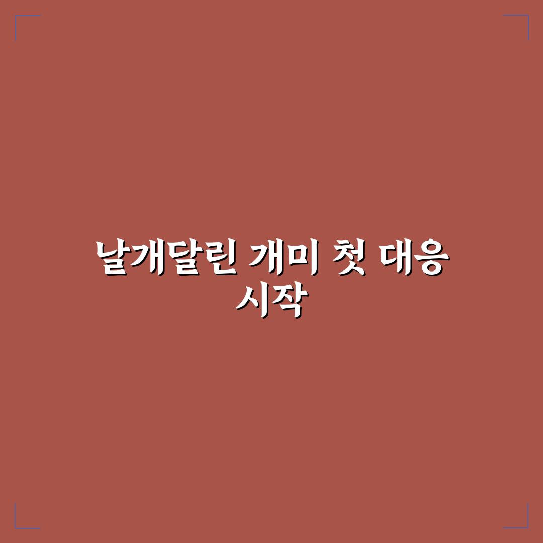 날개달린 개미 퇴치 직접 해보니 효과와 아쉬움
