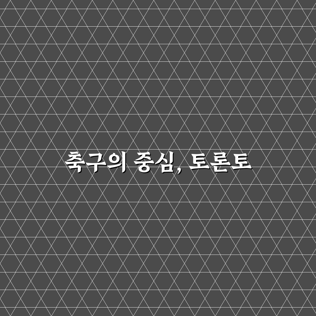 토론토 축구경기장 꿀팁과 관람 포인트 정리