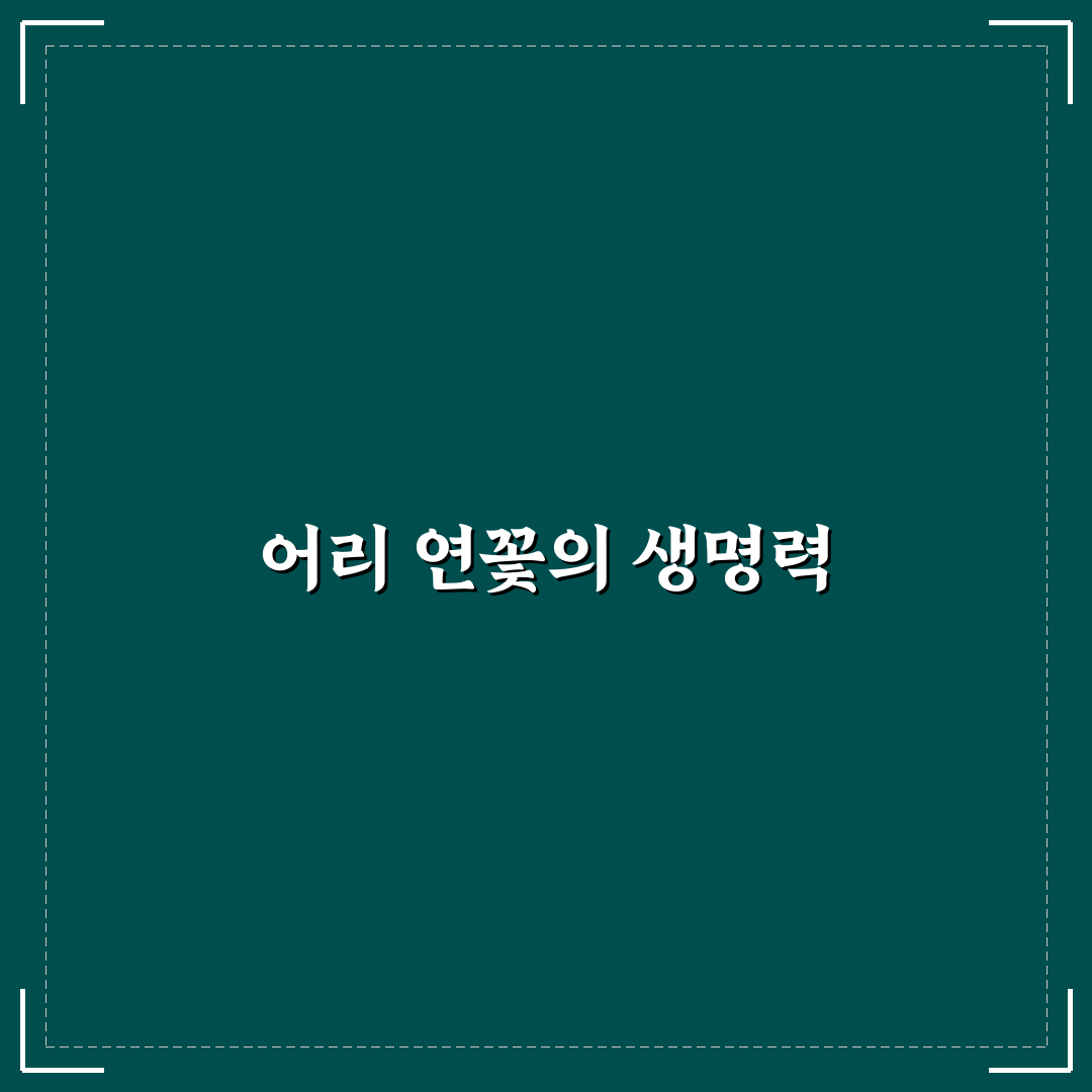 어리 연꽃 특징과 매력 알아보기 꿀팁
