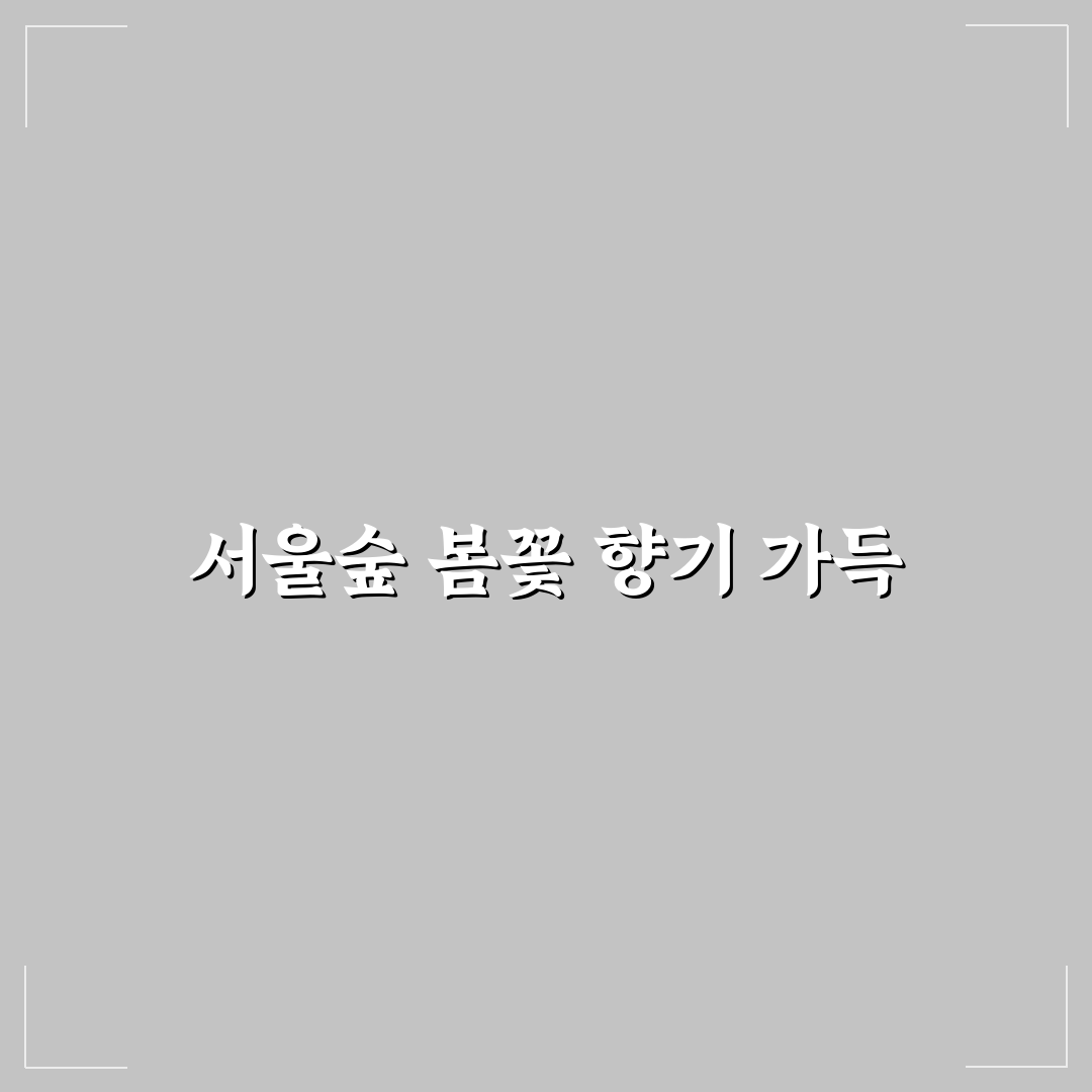 서울숲 튤립 축제 방문 후기, 직접 가보니 풍경과 분위기