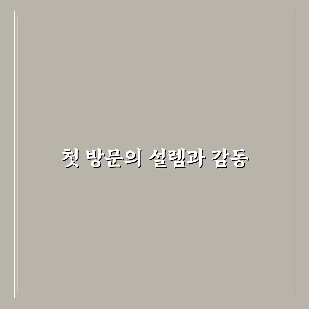 세종 충대병원 방문 후기, 진료 과정 솔직하게 적어봄