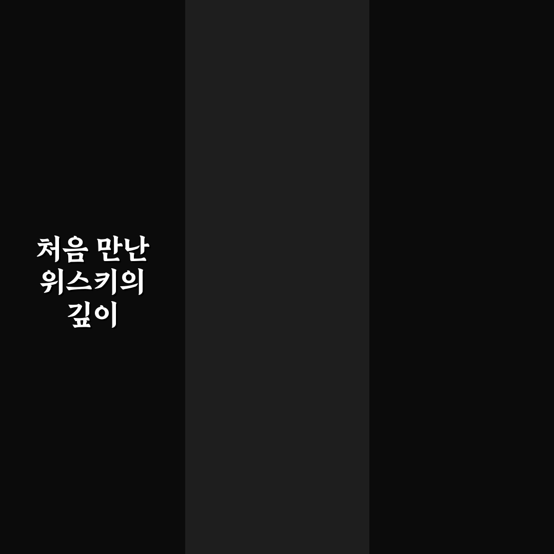 스카치블루 21년산 500ml 가격, 직접 써보니 느낌은?