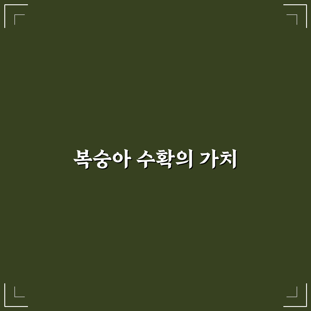 복숭아 수황 꿀팁 초보자도 쉽게 이해하기