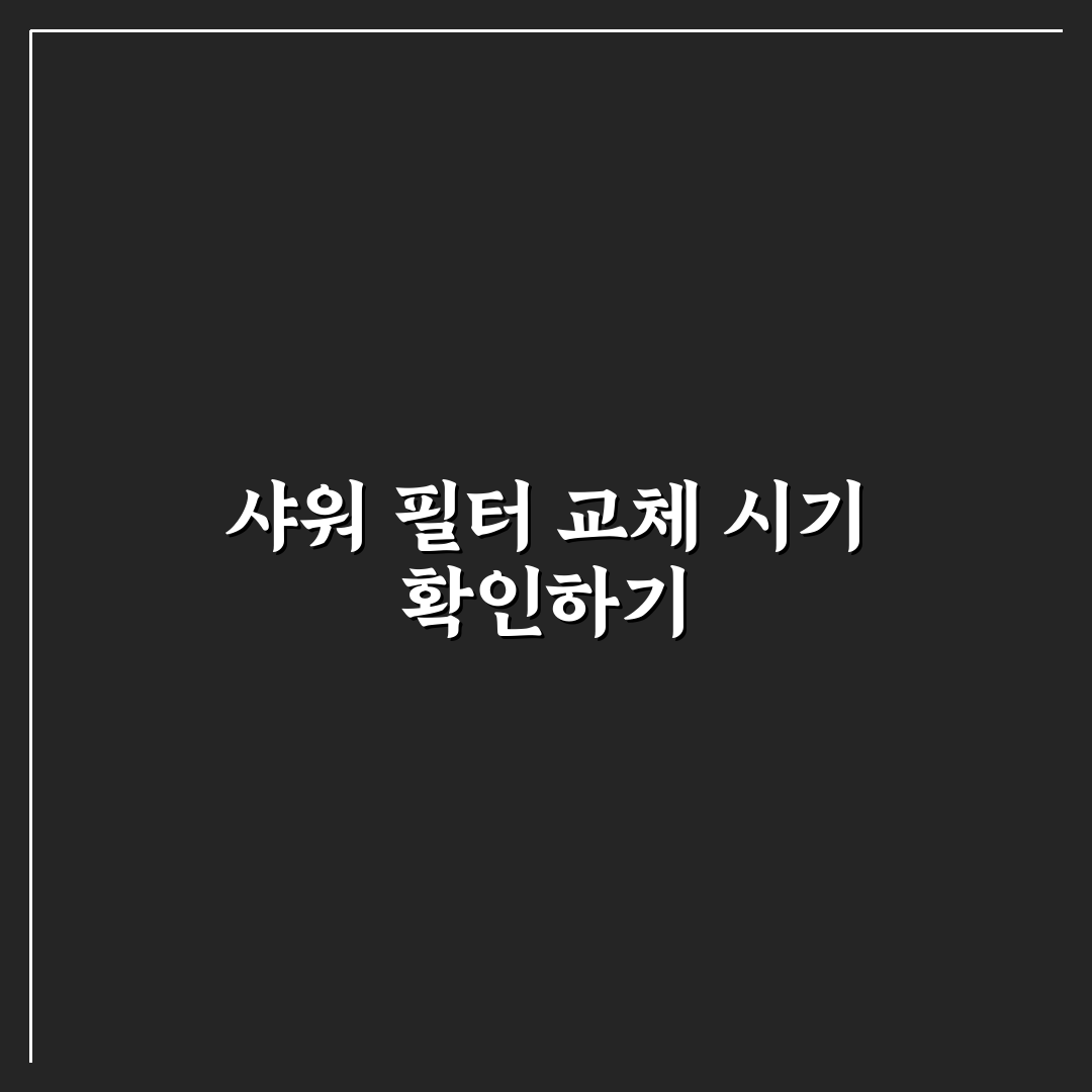 동남아 여행 샤워 필터 교체 주기 권장 꿀팁 알려드려요