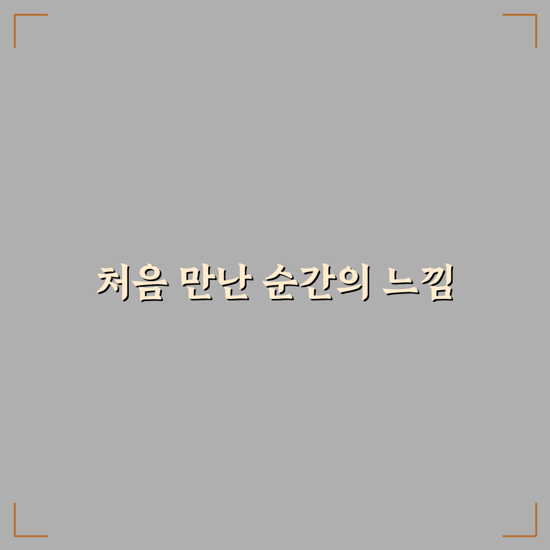 야탑역 치과 방문 후기, 진료 과정과 분위기 솔직히 적어봄