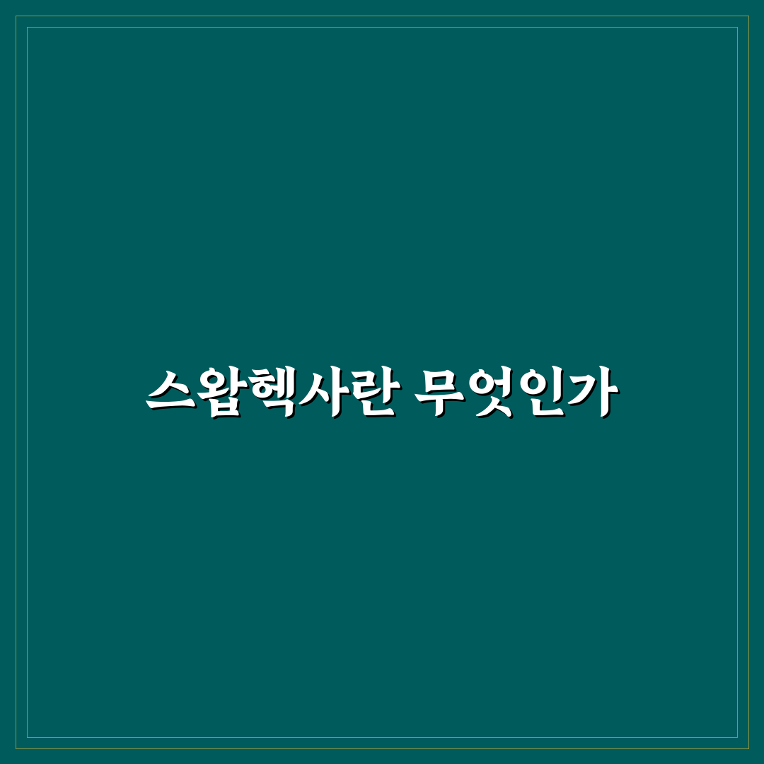 스왑헥사 사용법과 꿀팁을 정리해 드립니다