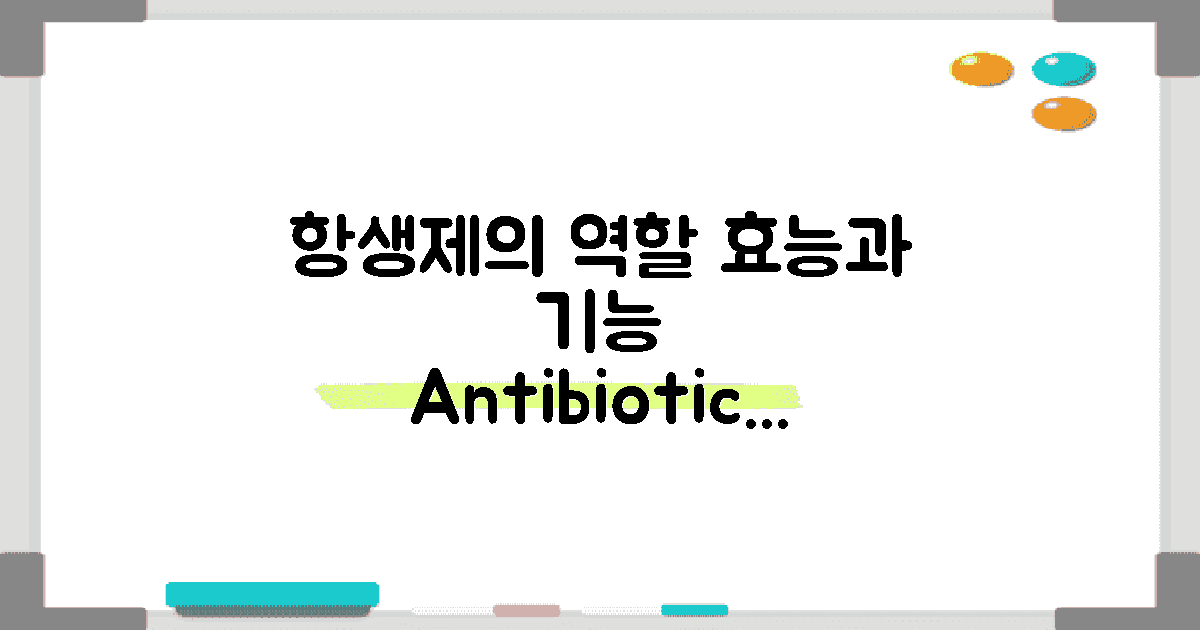 항생제의 기능과 역할