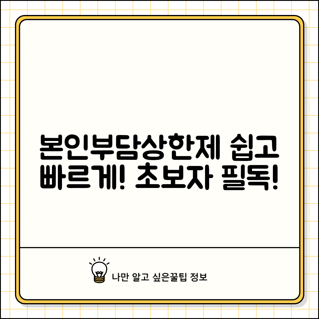 초보자도 쉽게 이해하는 본인부담상한제 총정리