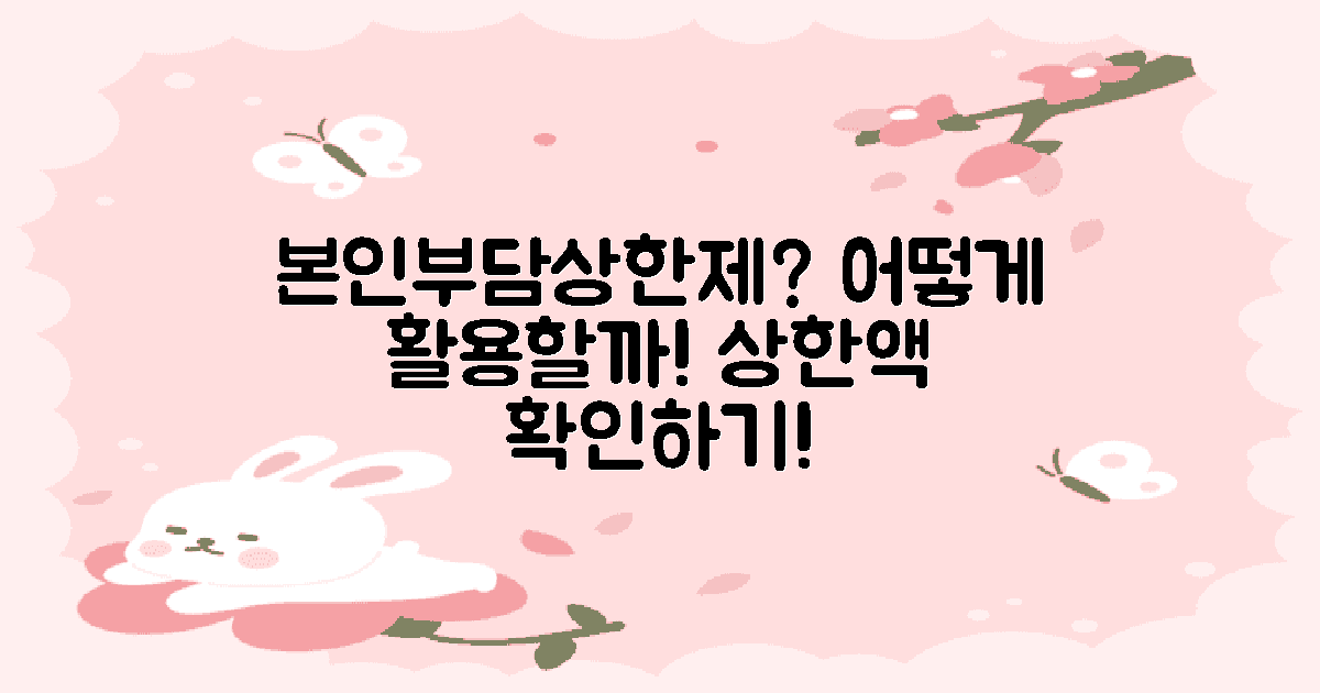 본인부담상한제란?