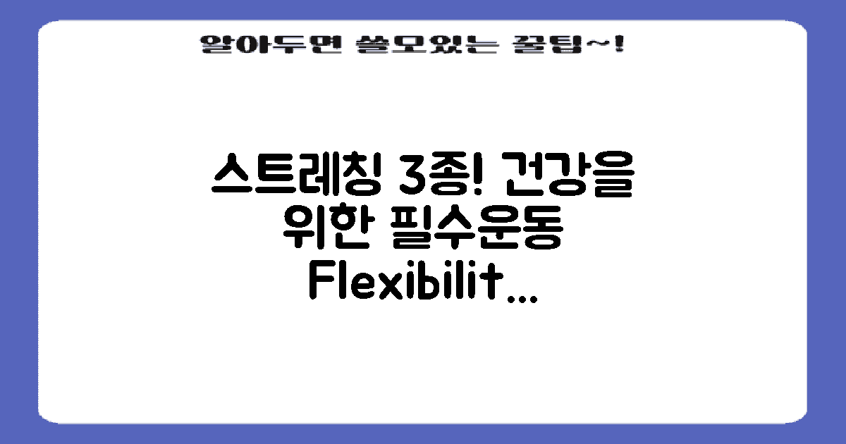 3가지 스트레칭 운동