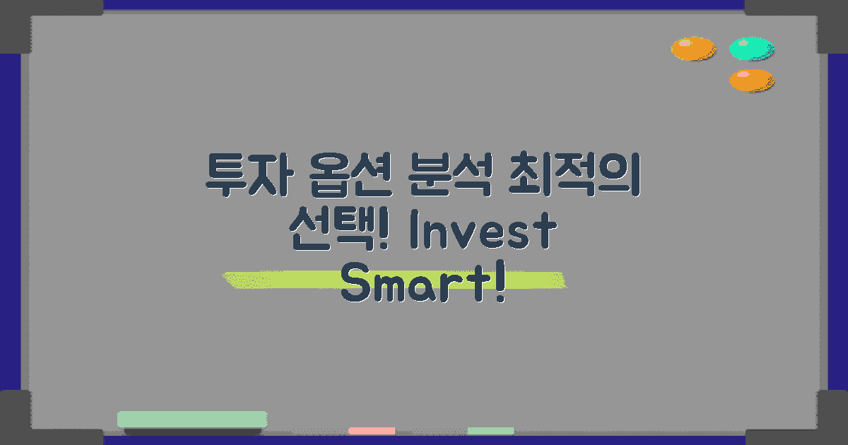 투자 옵션 분석하기