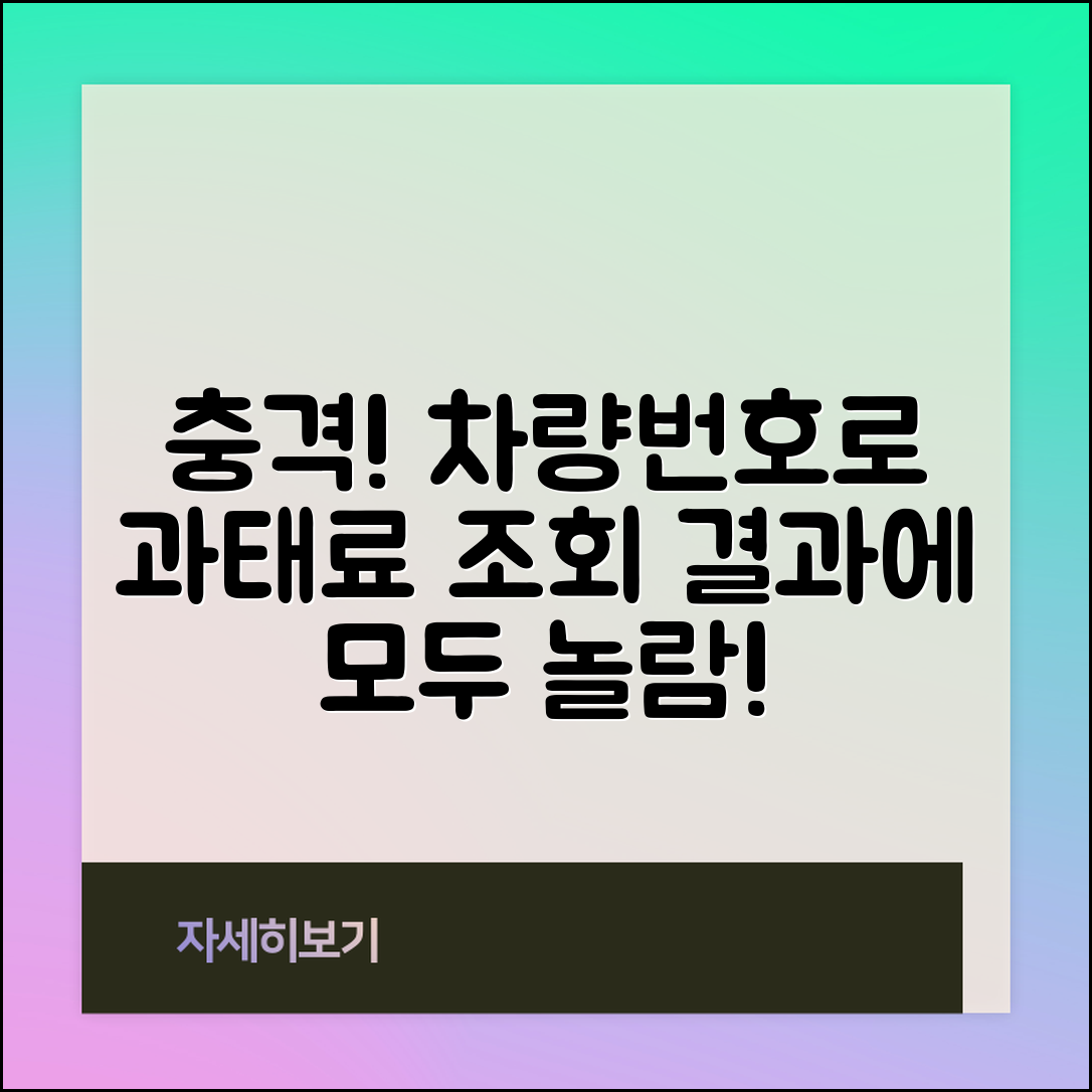 충격적인 차량번호로 과태료조회, 결과에 모두가 놀랐다!