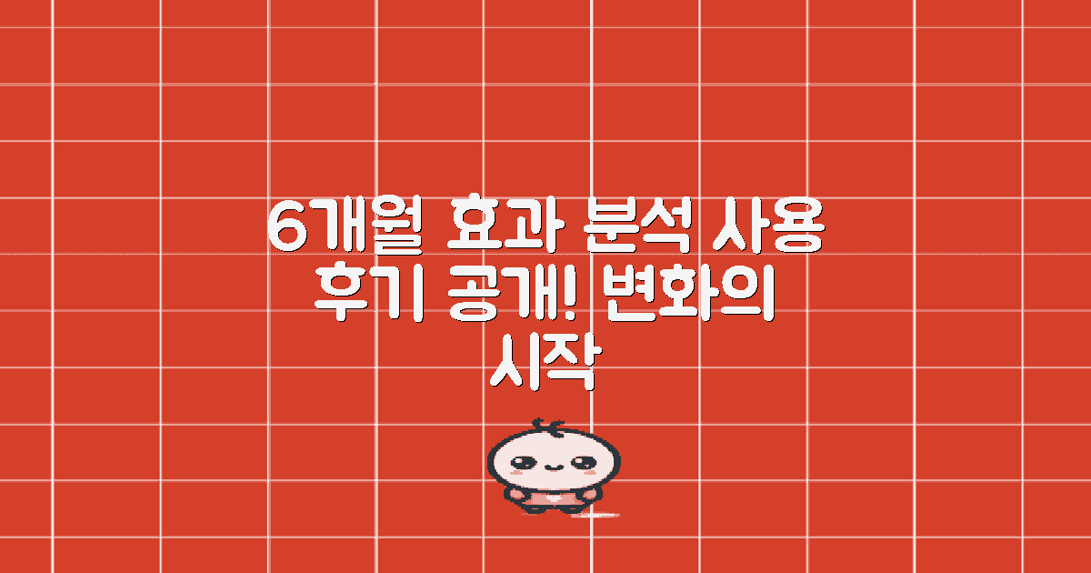 6개월 사용 효과 분석