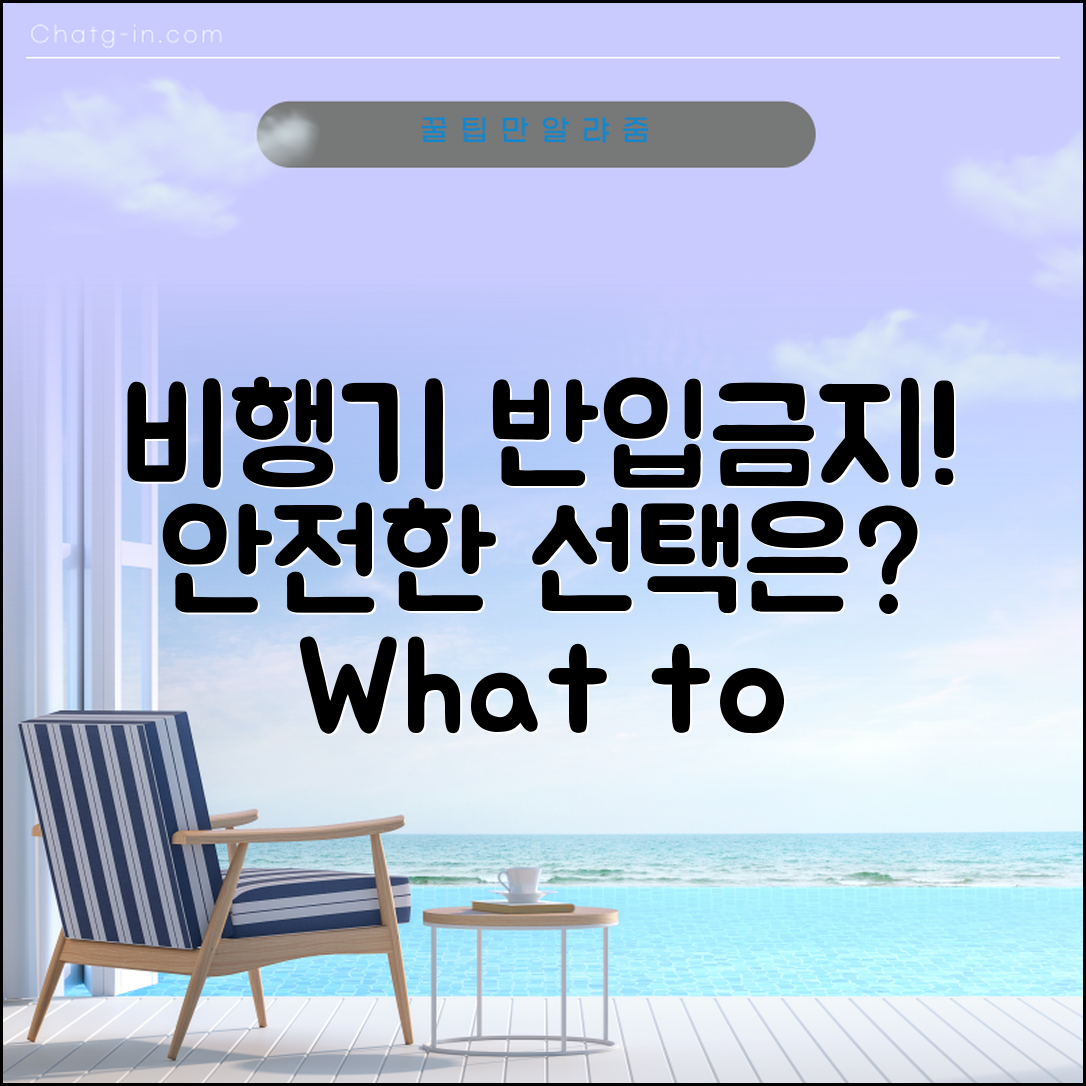 비행기 반입금지물품, 어떤 선택이 안전할까?