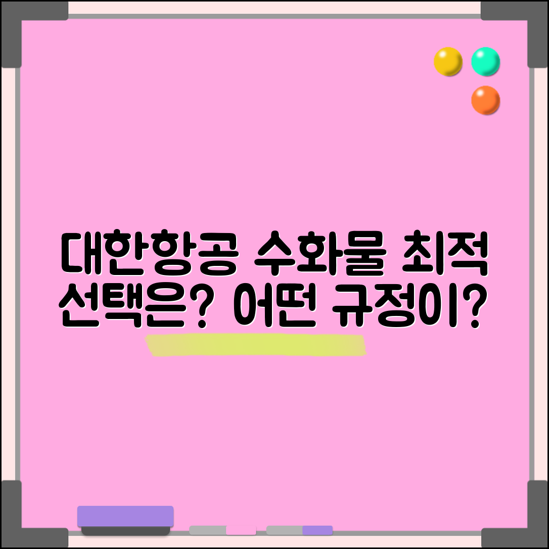 대한항공 수화물규정, 어떤 선택이 최적일까?